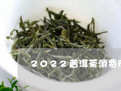 2022普洱茶消费市场/2023120772726