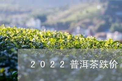 2022普洱茶跌价/2023071007052