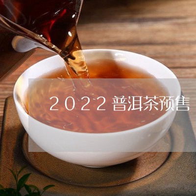 2022普洱茶预售/2023070969470