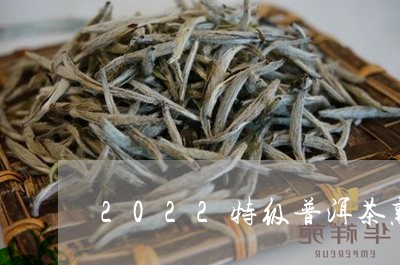 2022特级普洱茶熟茶散茶/2023082689504