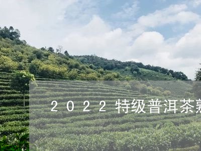 2022特级普洱茶熟茶散茶/2023110253712