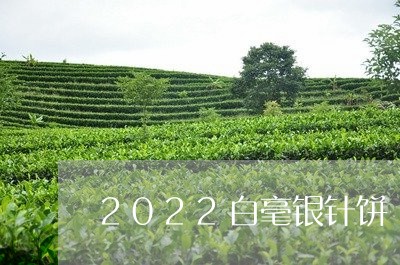 2022白毫银针饼/2023091422615