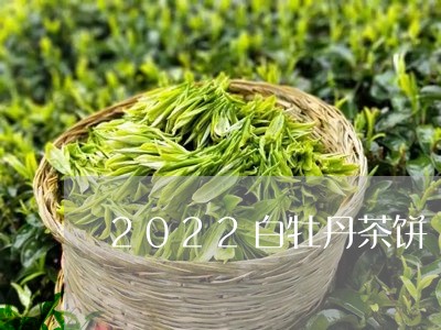 2022白牡丹茶饼/2023120526180