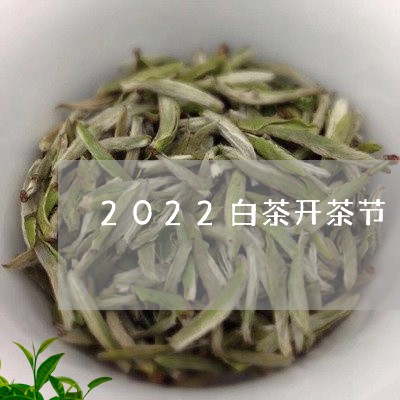 2022白茶开茶节/2023121550714