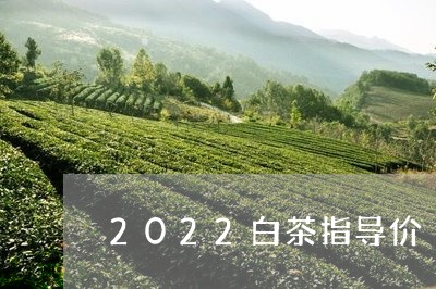 2022白茶指导价/2023071491705