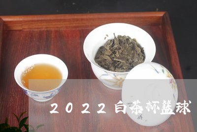 2022白茶杯篮球/2023121503936