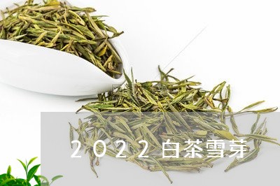 2022白茶雪芽/2023082624069