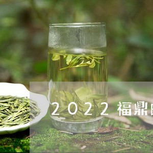 2022福鼎白茶冠军杯在哪/2023062983726