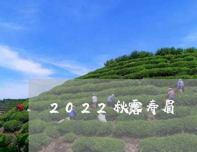 2022秋露寿眉/2023090872814