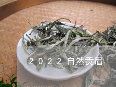 2022自然贡眉/2023090798358