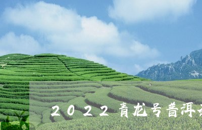 2022青龙号普洱茶/2023120652824