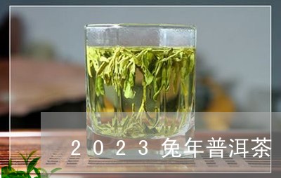 2023兔年普洱茶/2023120588491