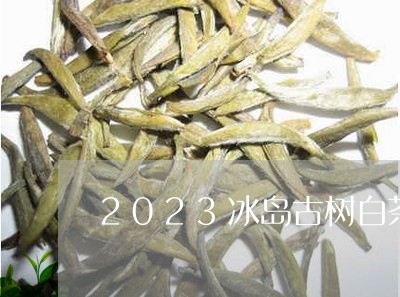 2023冰岛古树白茶/2023111671705