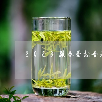 2023头春曼松普洱茶/2023081769393