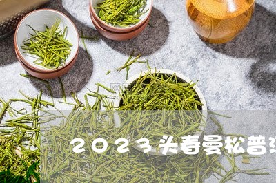 2023头春曼松普洱茶/2023102539402