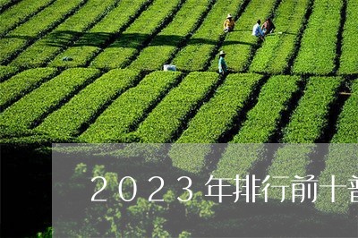 2023年排行前十普洱茶/2023110136472