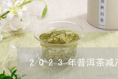 2023年普洱茶减产/2023120697160