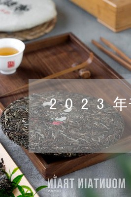 2023年普洱茶走势/2023062858570