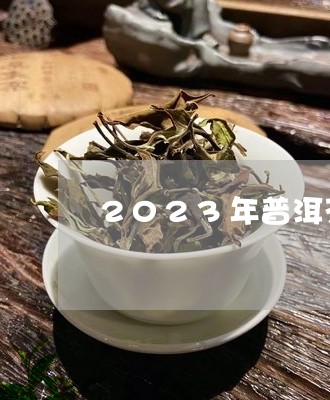 2023年普洱茶预测/2023120676371