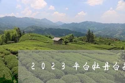 2023年白牡丹白茶价格/2023080136290