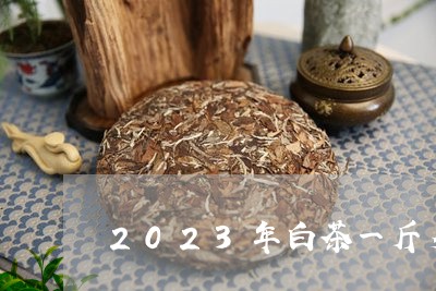 2023年白茶一斤多少钱呢/2023111589471