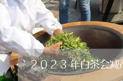 2023年白茶会减产吗/2023111437581