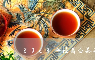 2023年福鼎白茶还能涨价吗/2023062872806