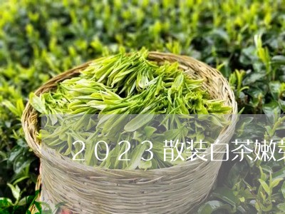 2023散装白茶嫩芽/2023111709379