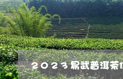 2023易武普洱茶价格/2023103128171