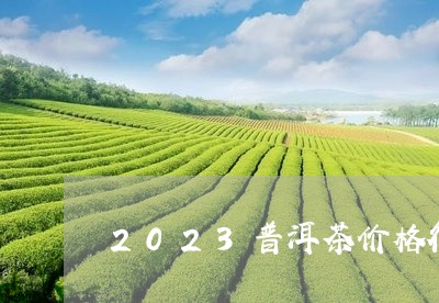 2023普洱茶价格行情走势/2023110279391