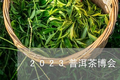 2023普洱茶博会/2023120532804