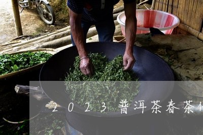 2023普洱茶春茶价格行情/2023110237139