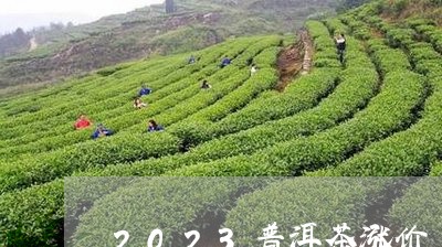 2023普洱茶涨价/2023120565947