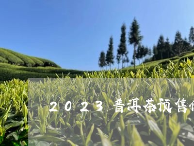 2023普洱茶预售价格/2023102468492