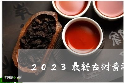 2023最新古树普洱茶春茶价格/2023102513028