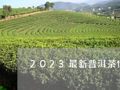 2023最新普洱茶价格/2023120777461