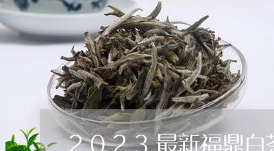 2023最新福鼎白茶价/2023062938250