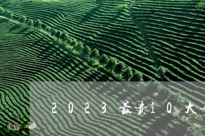 2023最贵10大普洱茶/2023112925059