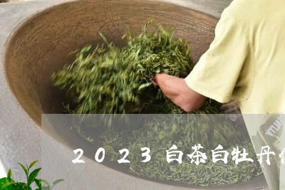 2023白茶白牡丹什么时间上市/2023082518482