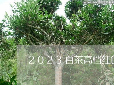 2023白茶高档红色礼盒装/2023111550493