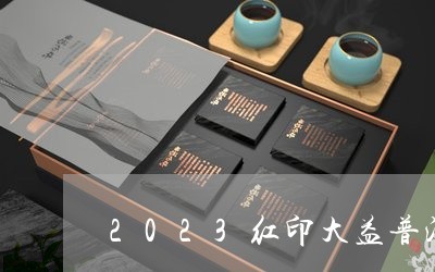 2023红印大益普洱茶/2023120730514