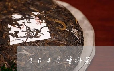 2040普洱茶/2023081503838