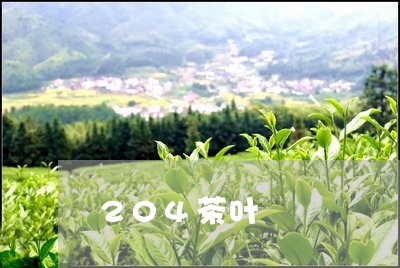 204茶叶/2023041773368