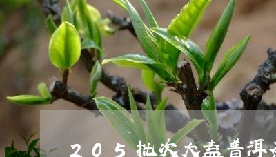 205批次大益普洱茶/2023073195836