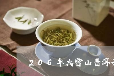 206年大雪山普洱茶/2023061695268