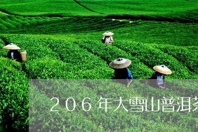 206年大雪山普洱茶/2023092743825