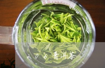 206普洱茶/2023102554059