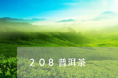 208普洱茶/2023112670591