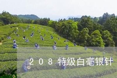 208特级白毫银针/2023120693605