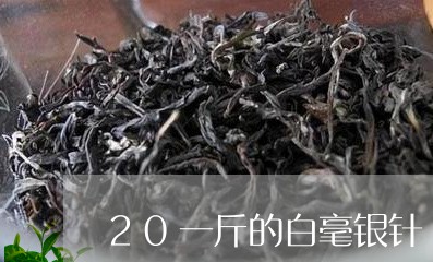 20一斤的白毫银针/2023120604858